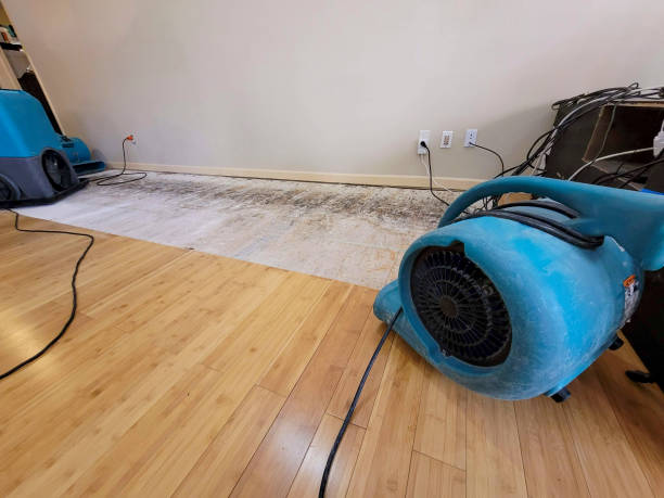 Professional Structural Drying technician working in Hope, IN